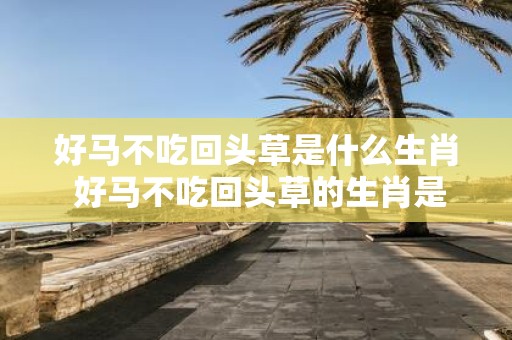 好马不吃回头草是什么生肖 好马不吃回头草的生肖是什么