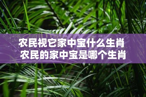 农民视它家中宝什么生肖 农民的家中宝是哪个生肖