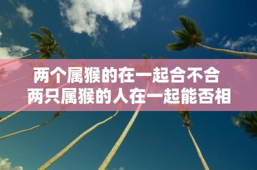 两个属猴的在一起合不合 两只属猴的人在一起能否相处融洽