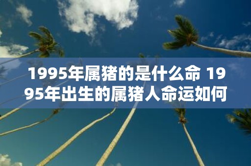 1995年属猪的是什么命 1995年出生的属猪人命运如何