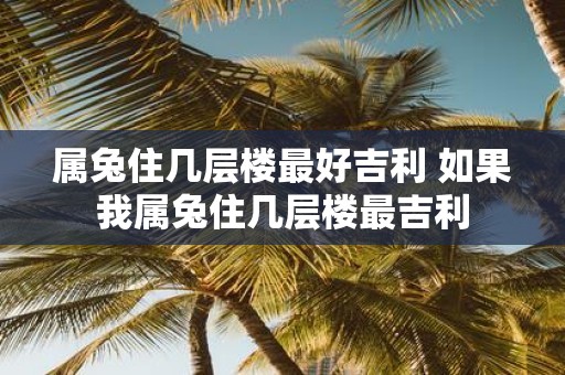 属兔住几层楼最好吉利 如果我属兔住几层楼最吉利