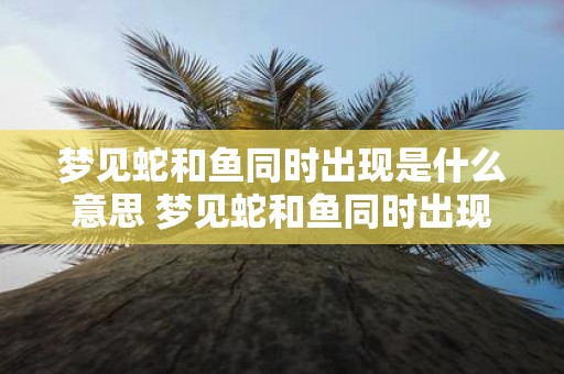 梦见蛇和鱼同时出现是什么意思 梦见蛇和鱼同时出现是有什么特别的象征意义吗