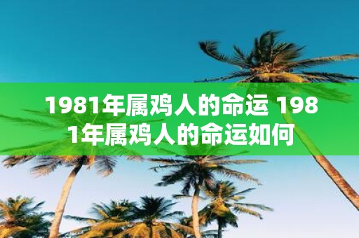 1981年属鸡人的命运 1981年属鸡人的命运如何