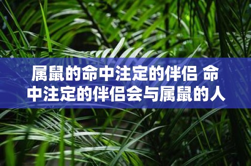 属鼠的命中注定的伴侣 命中注定的伴侣会与属鼠的人结成吗