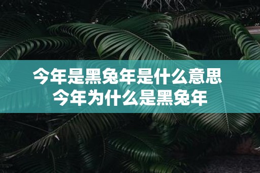 今年是黑兔年是什么意思 今年为什么是黑兔年