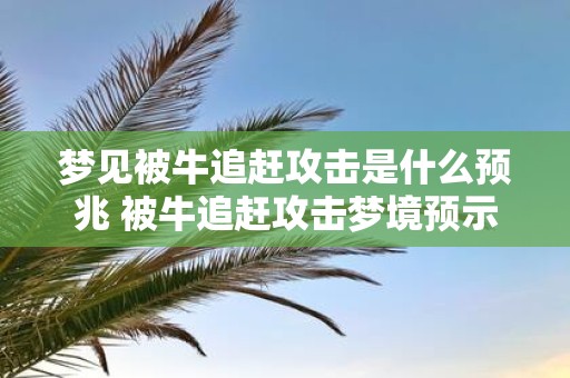 梦见被牛追赶攻击是什么预兆 被牛追赶攻击梦境预示着什么