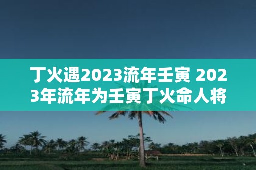 丁火遇2023流年壬寅 2023年流年为壬寅丁火命人将会受到什么样的影响