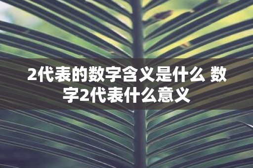 2代表的数字含义是什么 数字2代表什么意义