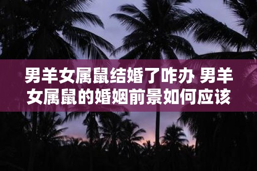 男羊女属鼠结婚了咋办 男羊女属鼠的婚姻前景如何应该注意哪些问题