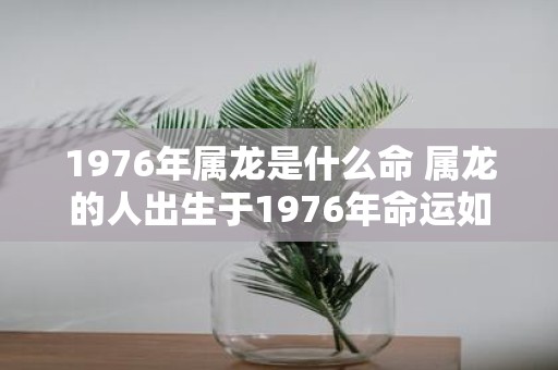 1976年属龙是什么命 属龙的人出生于1976年命运如何