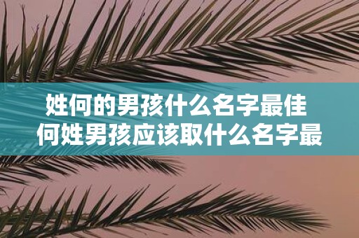 姓何的男孩什么名字最佳 何姓男孩应该取什么名字最合适