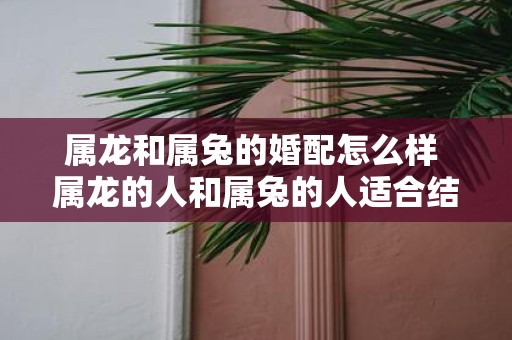 属龙和属兔的婚配怎么样 属龙的人和属兔的人适合结婚吗