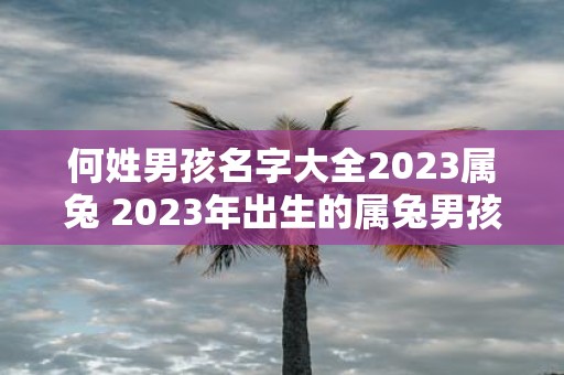 何姓男孩名字大全2023属兔 2023年出生的属兔男孩有哪些可取的何姓名字