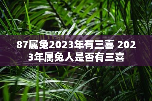 87属兔2023年有三喜 2023年属兔人是否有三喜