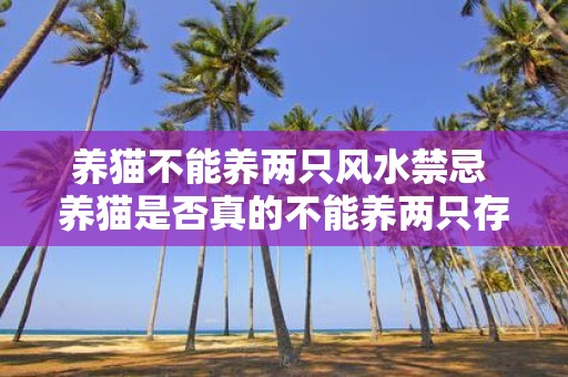 养猫不能养两只风水禁忌 养猫是否真的不能养两只存在哪些风水禁忌