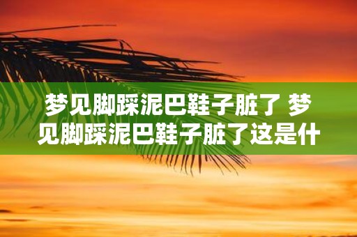 梦见脚踩泥巴鞋子脏了 梦见脚踩泥巴鞋子脏了这是什么象征意义