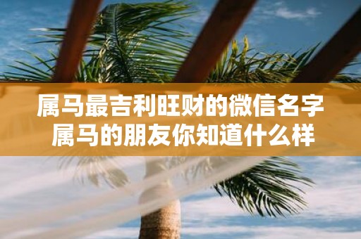 属马最吉利旺财的微信名字 属马的朋友你知道什么样的微信名字最能旺财招财吗