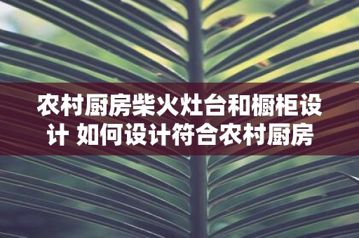 农村厨房柴火灶台和橱柜设计 如何设计符合农村厨房使用习惯的柴火灶台和橱柜