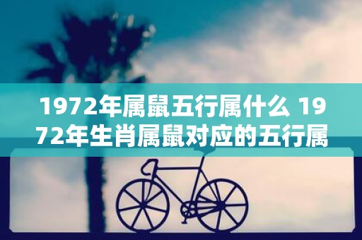 1972年属鼠五行属什么 1972年生肖属鼠对应的五行属于哪个