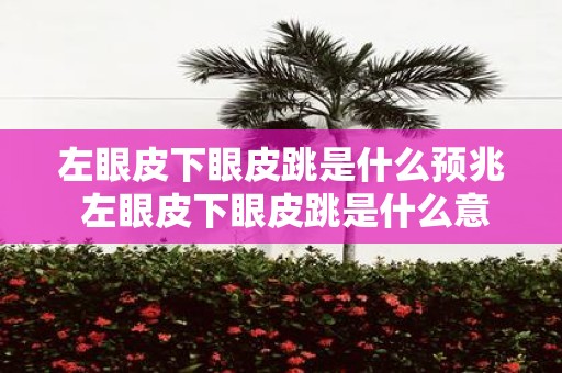 左眼皮下眼皮跳是什么预兆 左眼皮下眼皮跳是什么意思