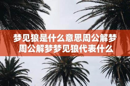 梦见狼是什么意思周公解梦 周公解梦梦见狼代表什么