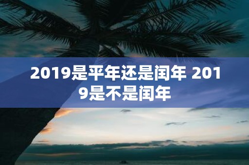 2019是平年还是闰年 2019是不是闰年