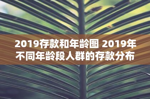 2019存款和年龄图 2019年不同年龄段人群的存款分布情况是什么样子