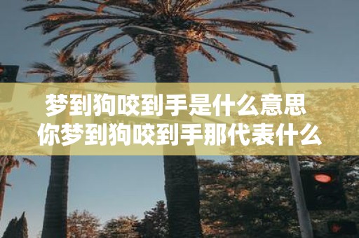 梦到狗咬到手是什么意思 你梦到狗咬到手那代表什么含义