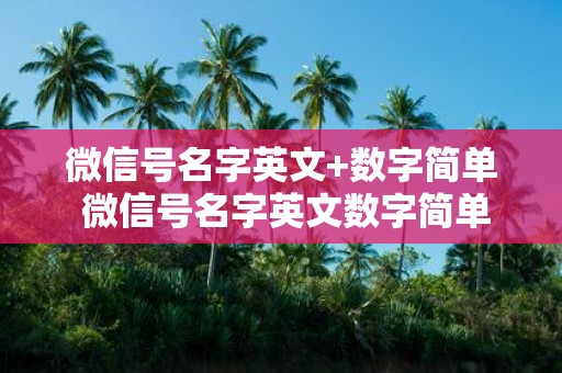 微信号名字英文+数字简单 微信号名字英文数字简单是否过于基础