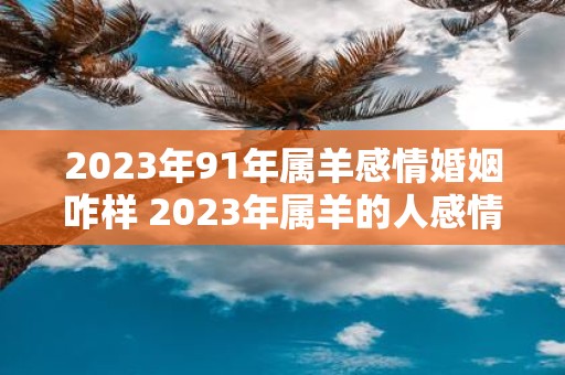 2023年91年属羊感情婚姻咋样 2023年属羊的人感情和婚姻情况如何