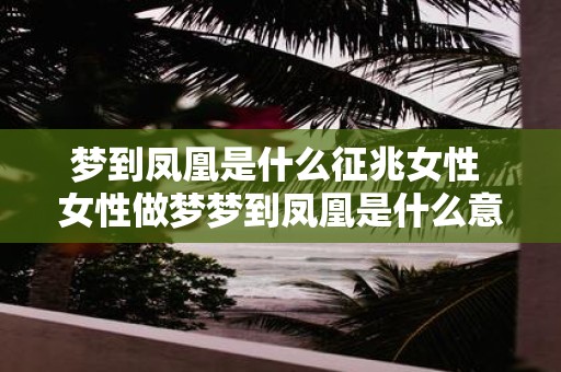 梦到凤凰是什么征兆女性 女性做梦梦到凤凰是什么意思或什么预示