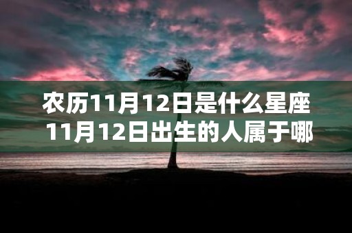 农历11月12日是什么星座 11月12日出生的人属于哪个星座