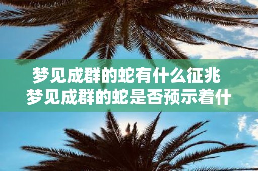 梦见成群的蛇有什么征兆 梦见成群的蛇是否预示着什么