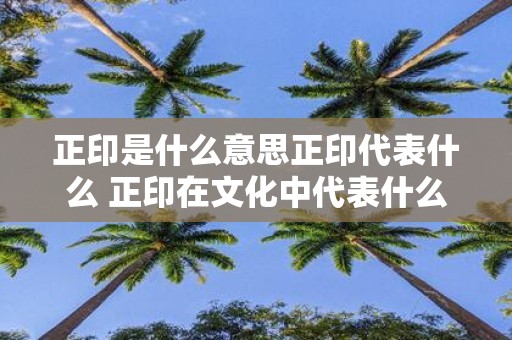 正印是什么意思正印代表什么 正印在文化中代表什么意义正印有什么寓意和象征意义