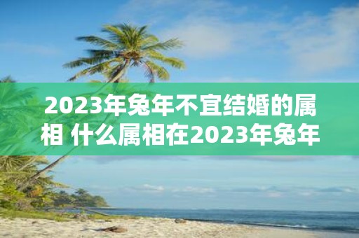 2023年兔年不宜结婚的属相 什么属相在2023年兔年不宜结婚