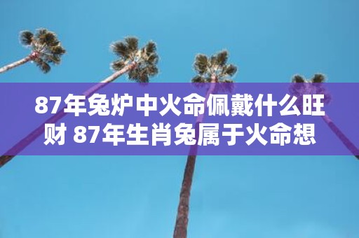 87年兔炉中火命佩戴什么旺财 87年生肖兔属于火命想要旺财该佩戴哪些物品