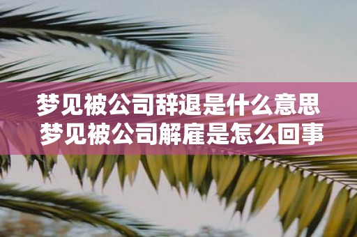 梦见被公司辞退是什么意思 梦见被公司解雇是怎么回事