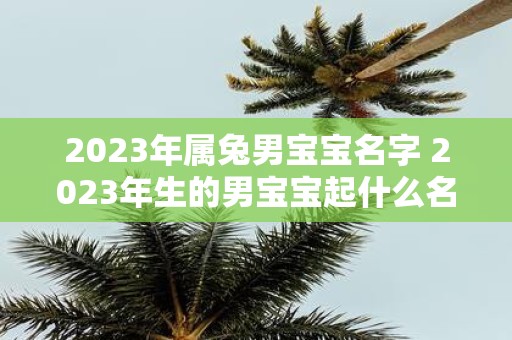 2023年属兔男宝宝名字 2023年生的男宝宝起什么名字比较适合属兔的命格