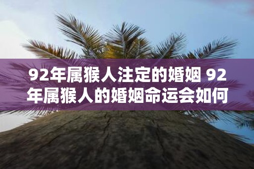 92年属猴人注定的婚姻 92年属猴人的婚姻命运会如何