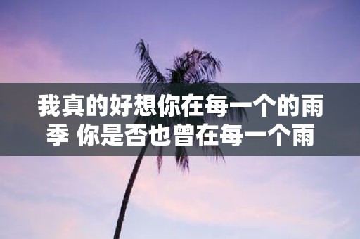 我真的好想你在每一个的雨季 你是否也曾在每一个雨季中想起我