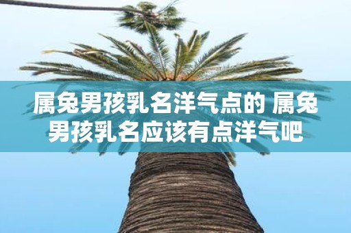 属兔男孩乳名洋气点的 属兔男孩乳名应该有点洋气吧