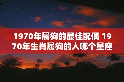 1970年属狗的最佳配偶 1970年生肖属狗的人哪个星座最适合当你的配偶