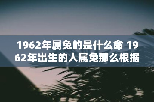 1962年属兔的是什么命 1962年出生的人属兔那么根据命理学他们的命运究竟如何