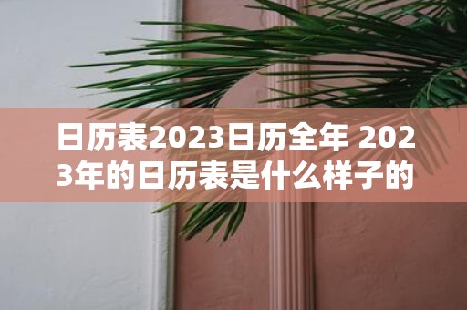 日历表2025日历全年 2025年的日历表是什么样子的