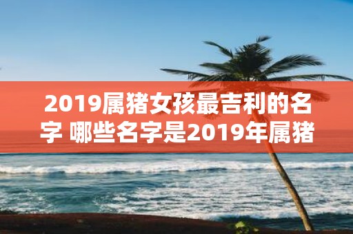 2019属猪女孩最吉利的名字 哪些名字是2019年属猪女孩最吉利的选择