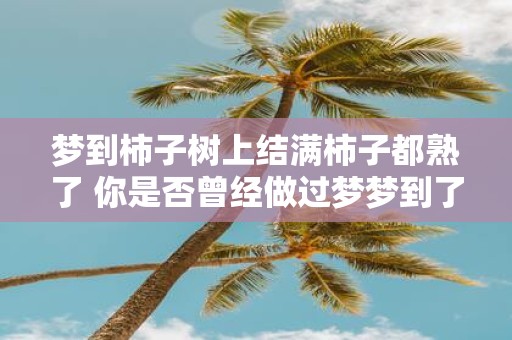 梦到柿子树上结满柿子都熟了 你是否曾经做过梦梦到了一个柿子树它结满了柿子所有的柿子都熟透了