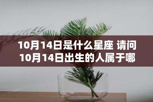 10月14日是什么星座 请问10月14日出生的人属于哪个星座