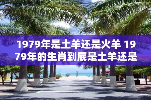1979年是土羊还是火羊 1979年的生肖到底是土羊还是火羊