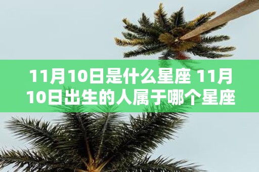 11月10日是什么星座 11月10日出生的人属于哪个星座