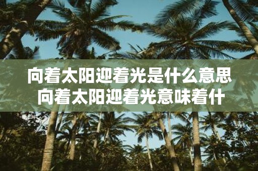 向着太阳迎着光是什么意思 向着太阳迎着光意味着什么